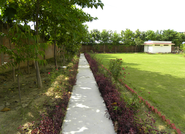 Green walking area outside Male Residential Complex