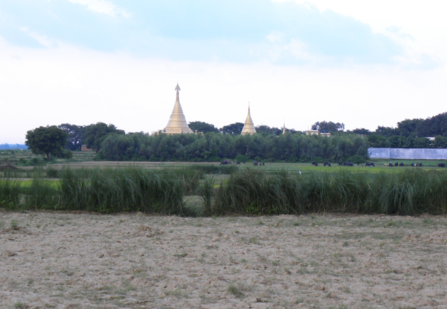 Surrounding of Vipassana Meditation Centre