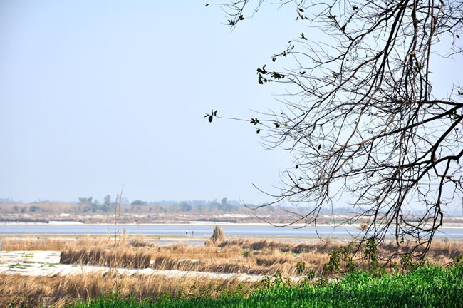 View of Holy Ganges from Dhamma Kalyana